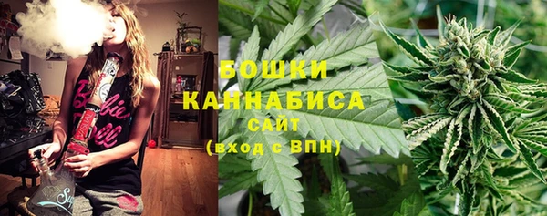 MDMA Новозыбков