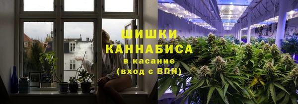 трава Нефтекумск
